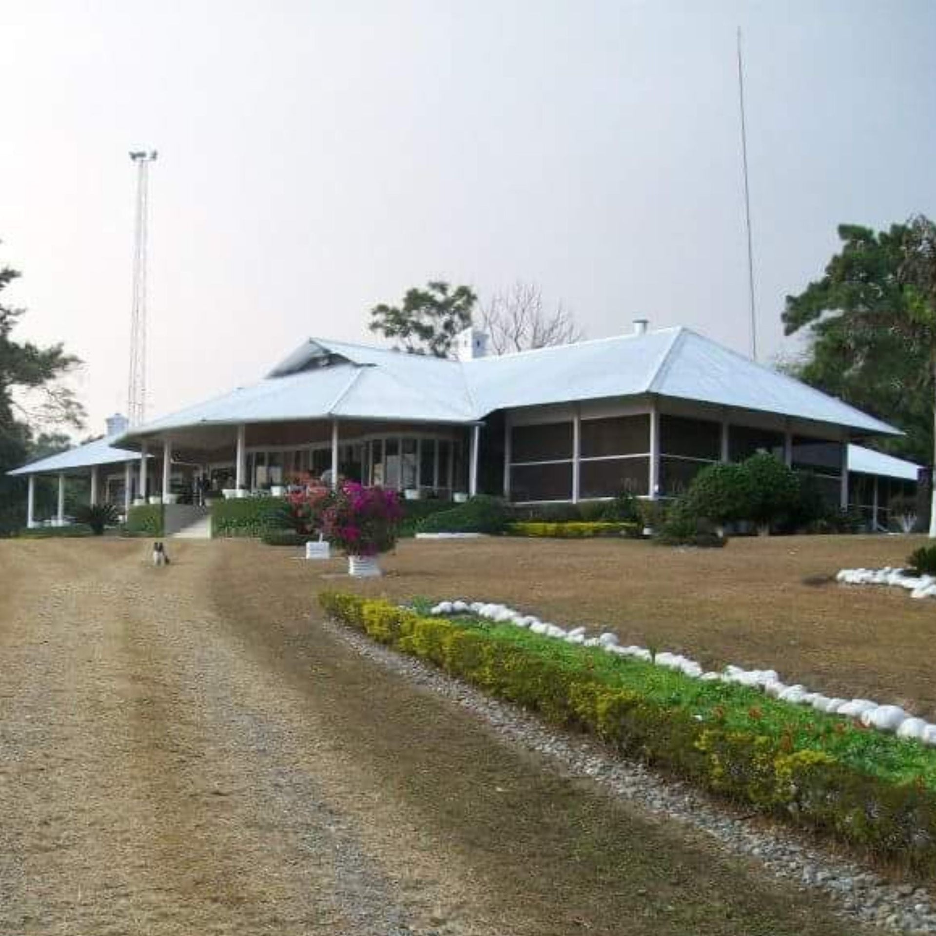 Tea Plantation: A Kids' Lifestyle | Discover Nature – Kolka