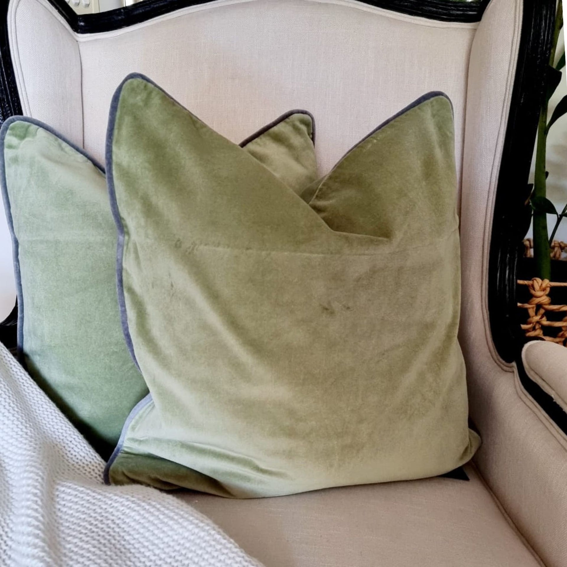 Olive Elegance Velvet Cushion Cover | 50cm x50 cm